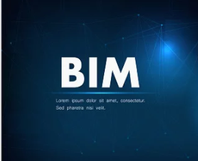 bim